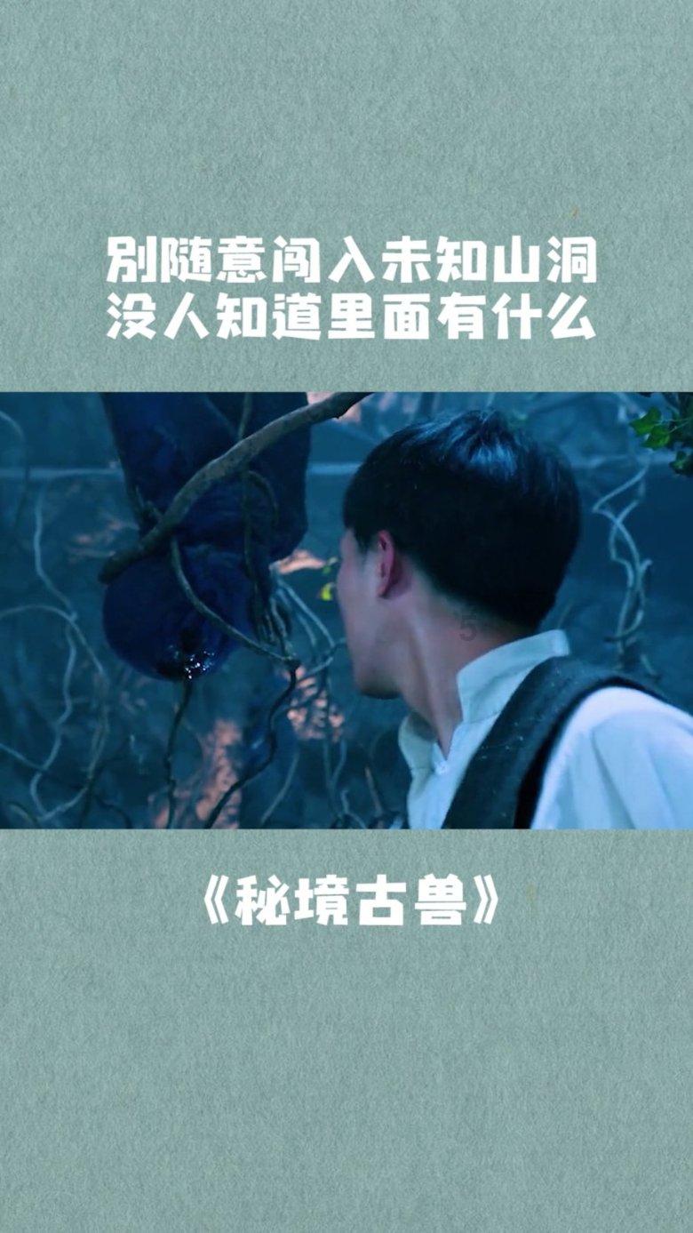 外交部：期待国际法院涉以色列有关裁决得到落实